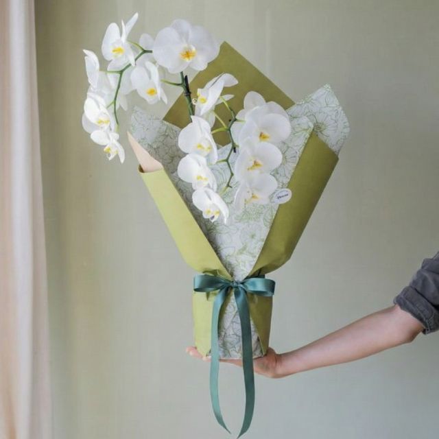 Kraft Verde, Seda Floral y Doble Lazo - Plantas