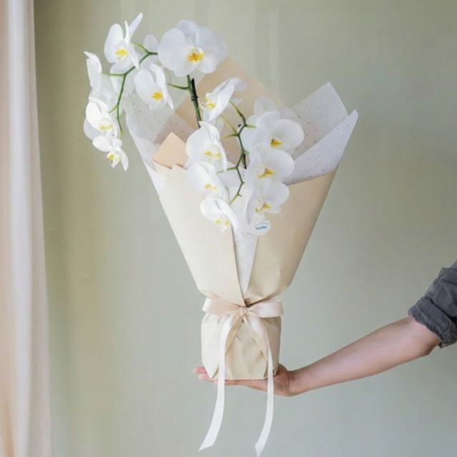 Kraft Crema, Seda Blanco y Lazo Crema - Plantas