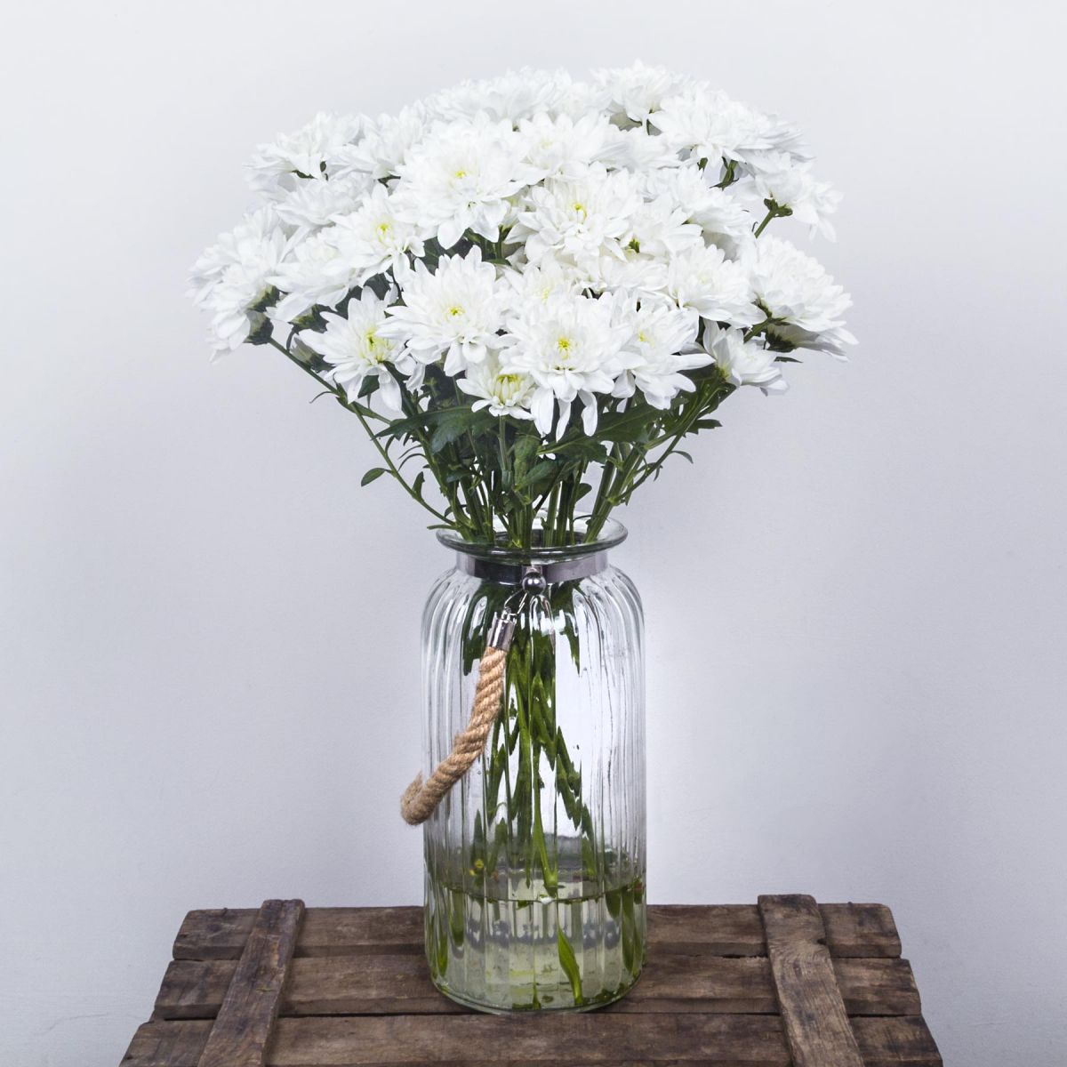 Baltica White - 2
