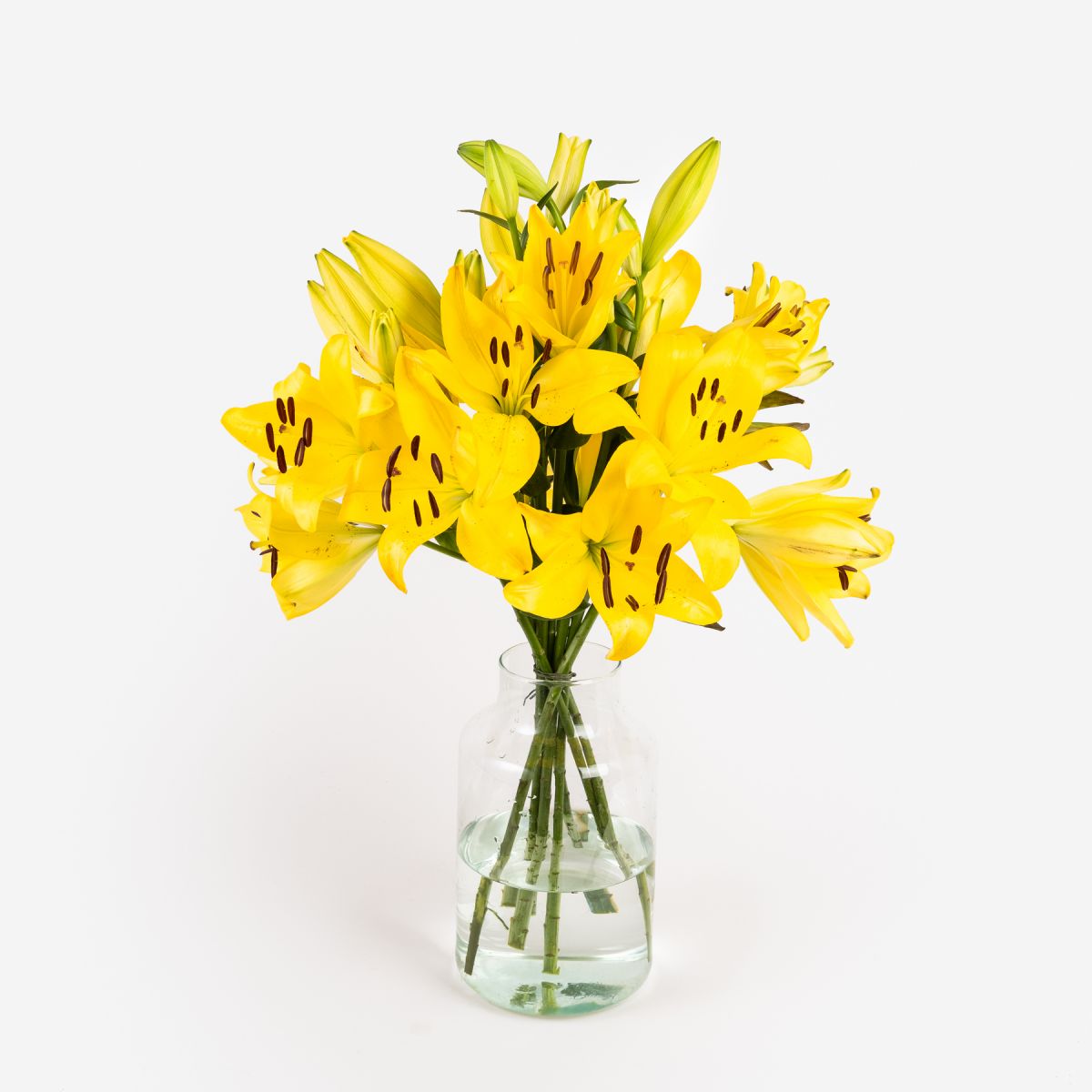 Beau Soleil - Gigli gialli - Fiori a domicilio - Colvin