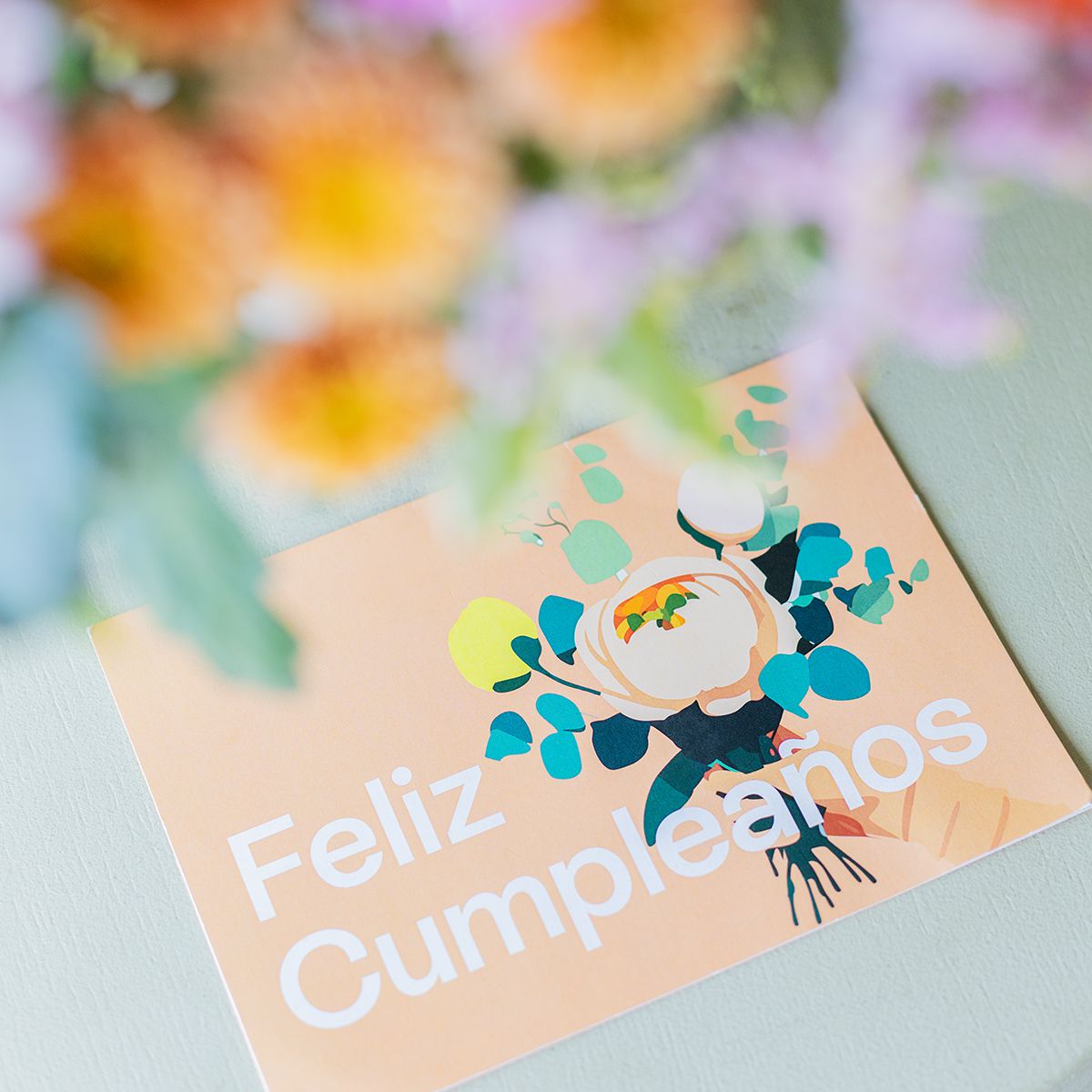 Pack Cumple: Jaipur, jarrón y tarjeta