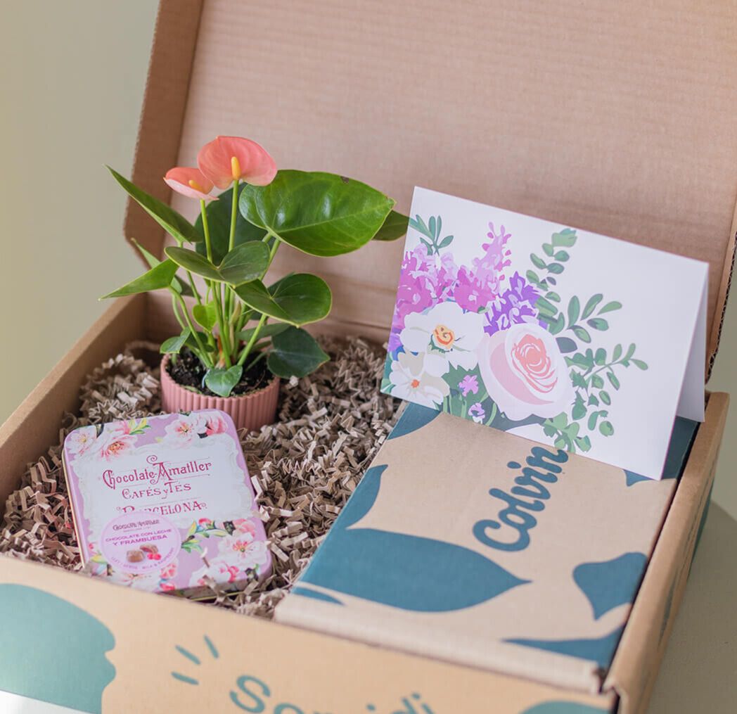 Pack Mini Anthurium Rosa con Chocolates y Tarjeta