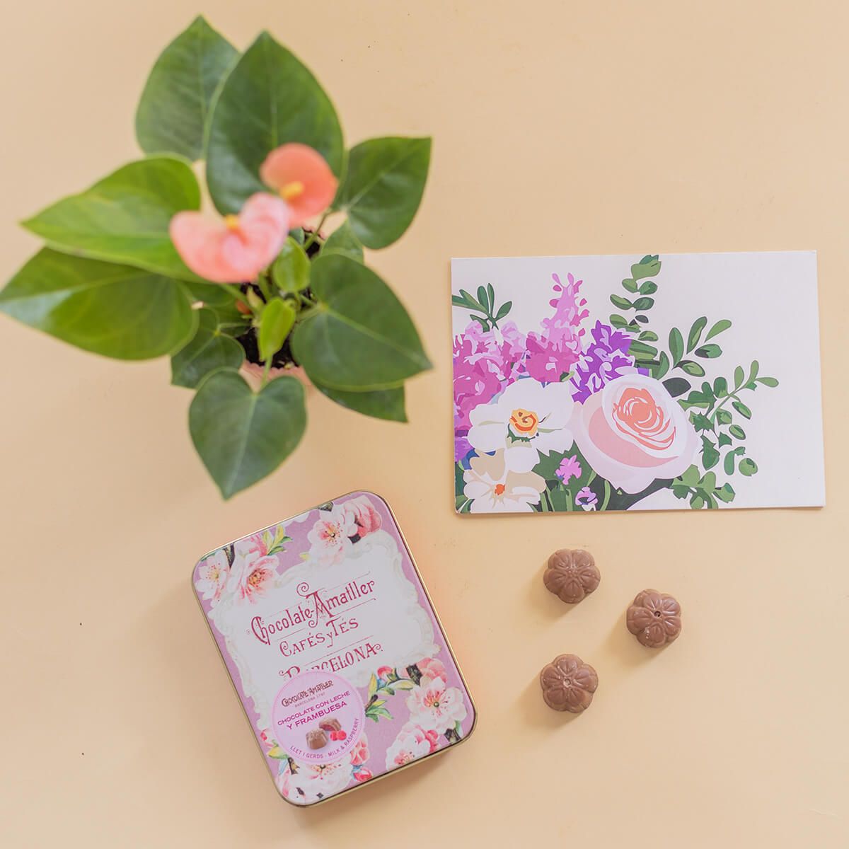 Pack Mini Anthurium Rosa con Chocolates y Tarjeta