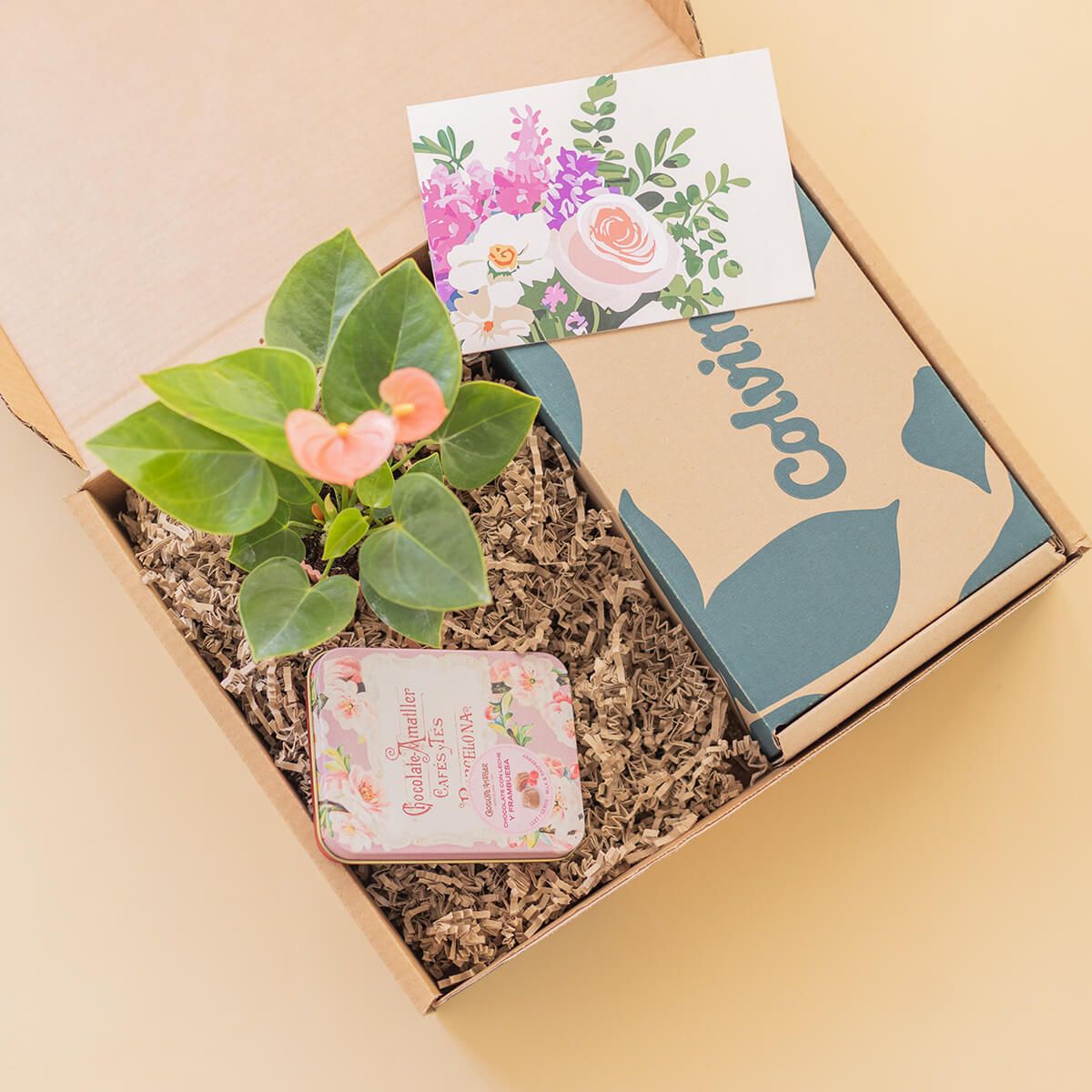 Pack Mini Anthurium Rosa con Chocolates y Tarjeta