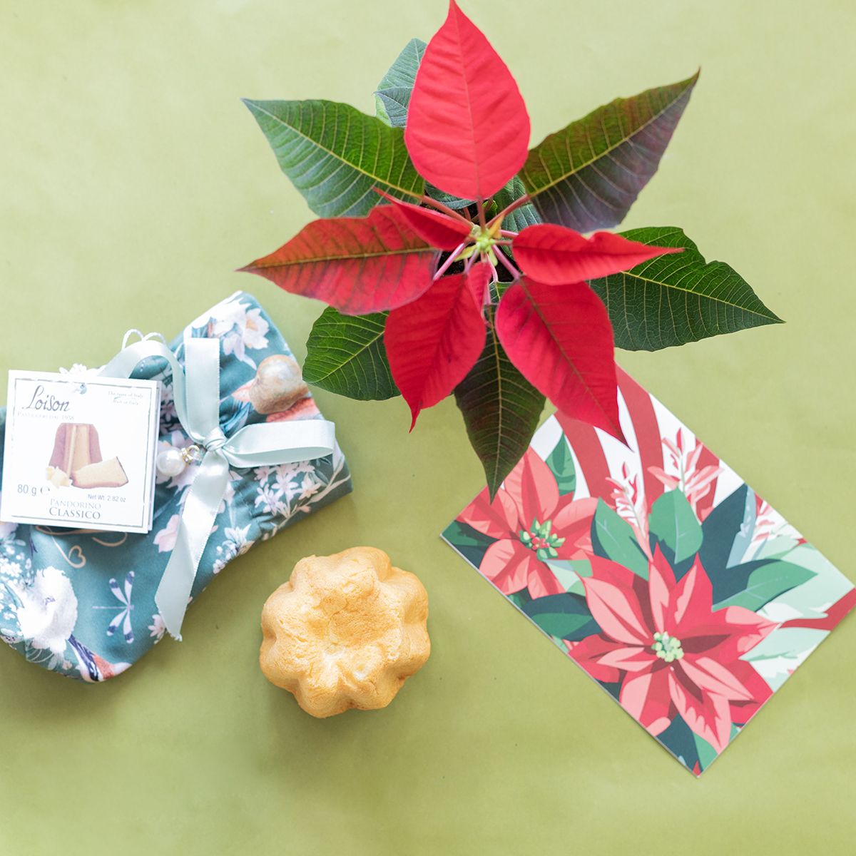 Pack Navidad: Mini Poinsettia con Pandorino y Tarjeta