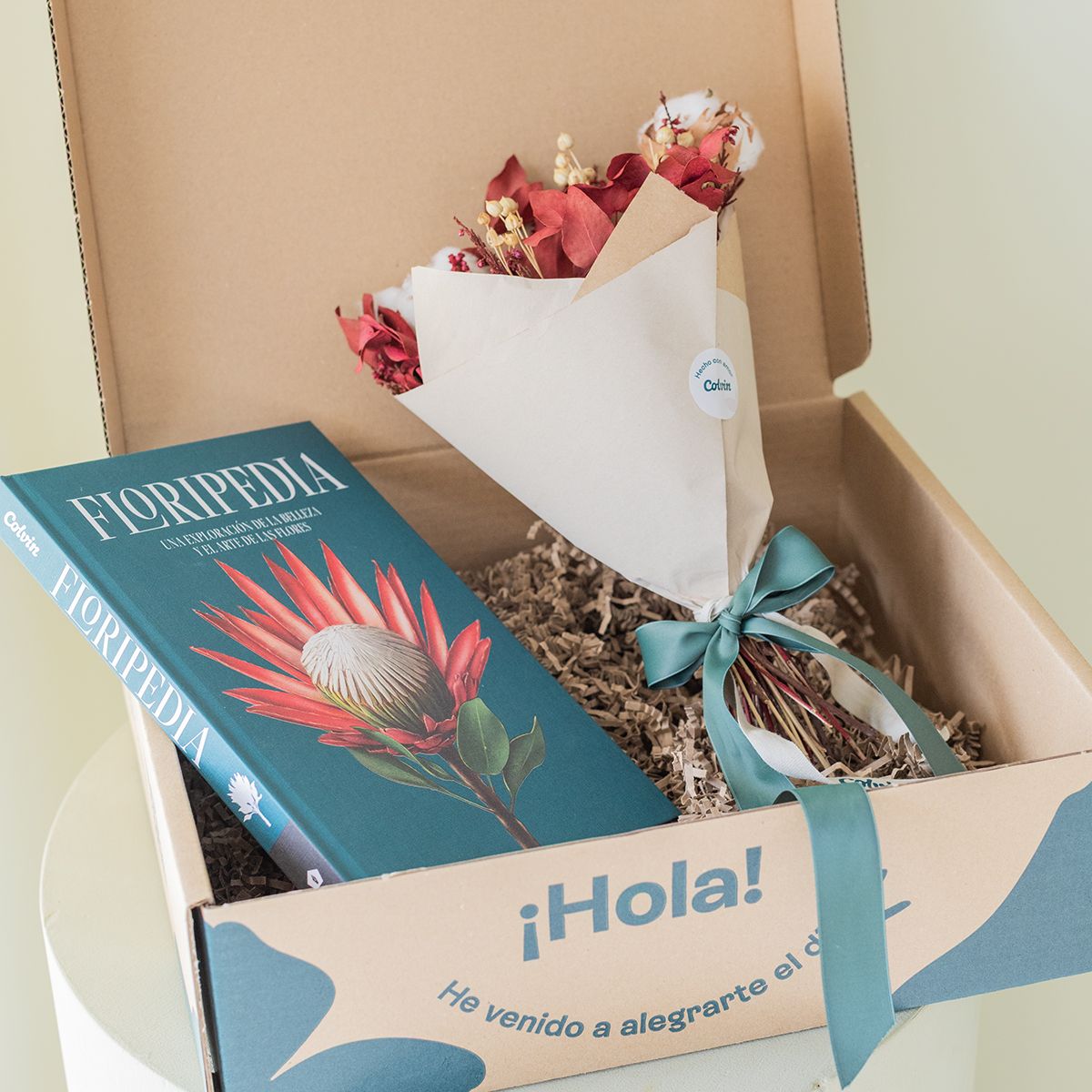 Pack Navidad: Mini Ramo y Floripedia