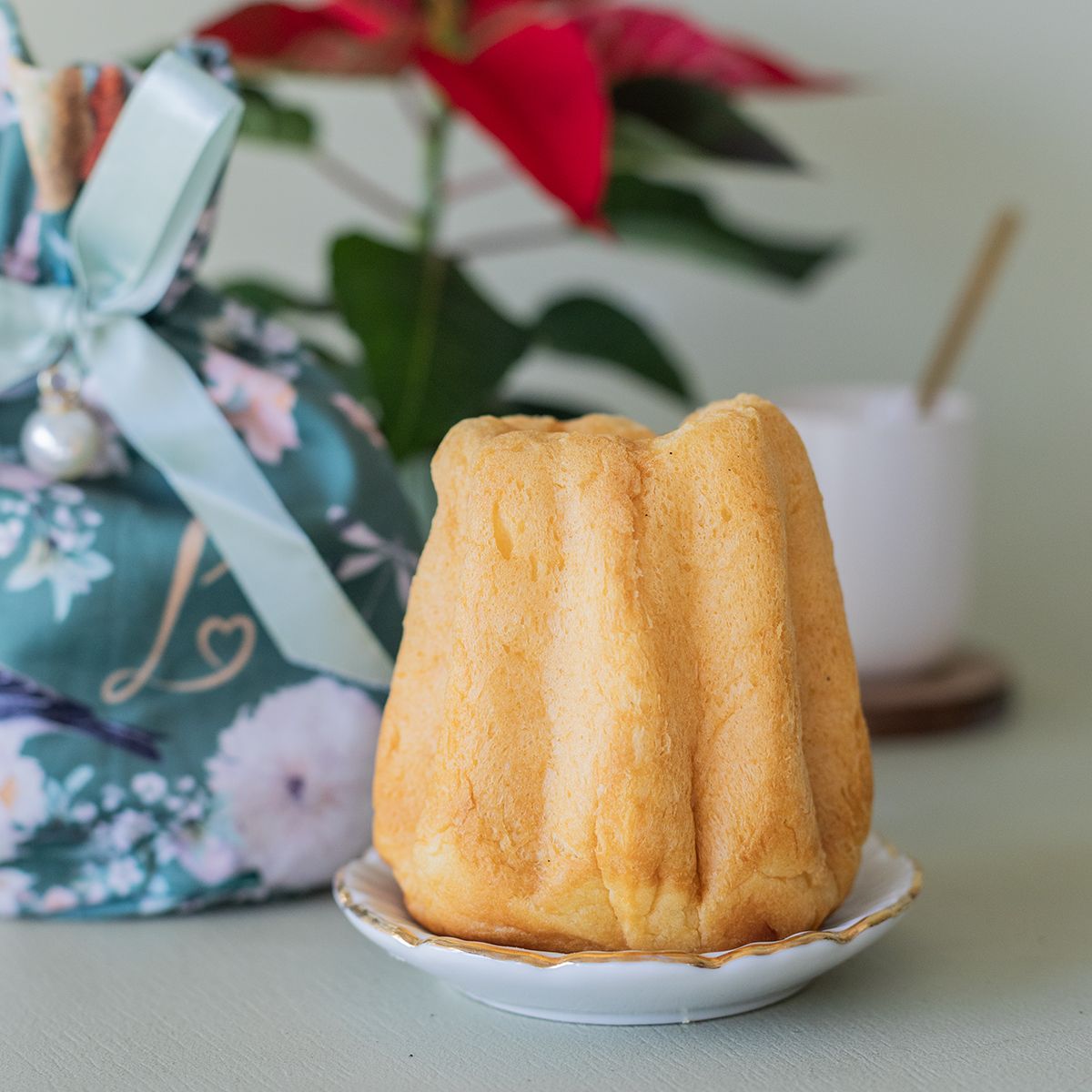 Pack Navidad: Orquídea Blanca con Maceta, Panettoncino y Tarjeta