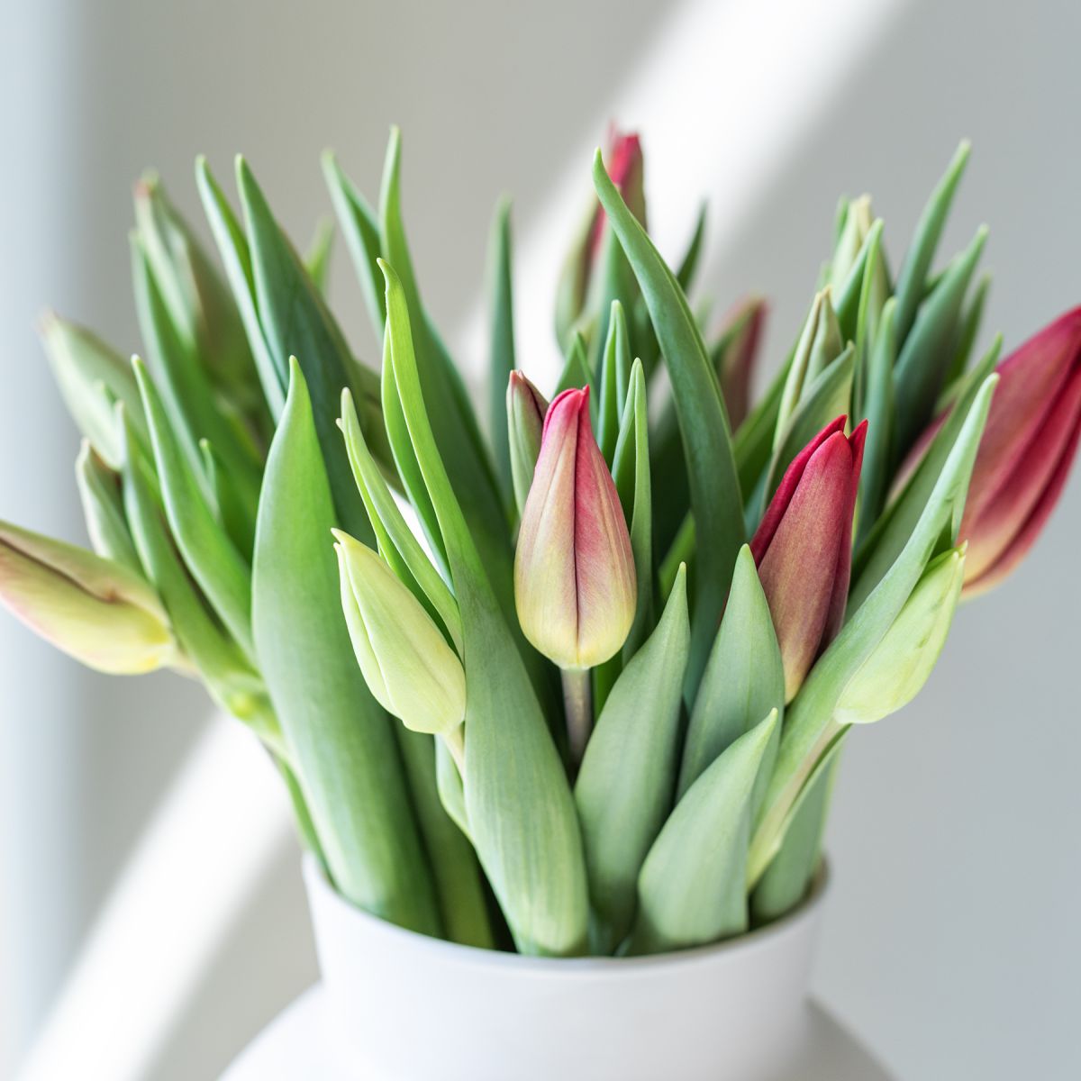 Pack Ramo Amelie con chocolate y dedicatoria