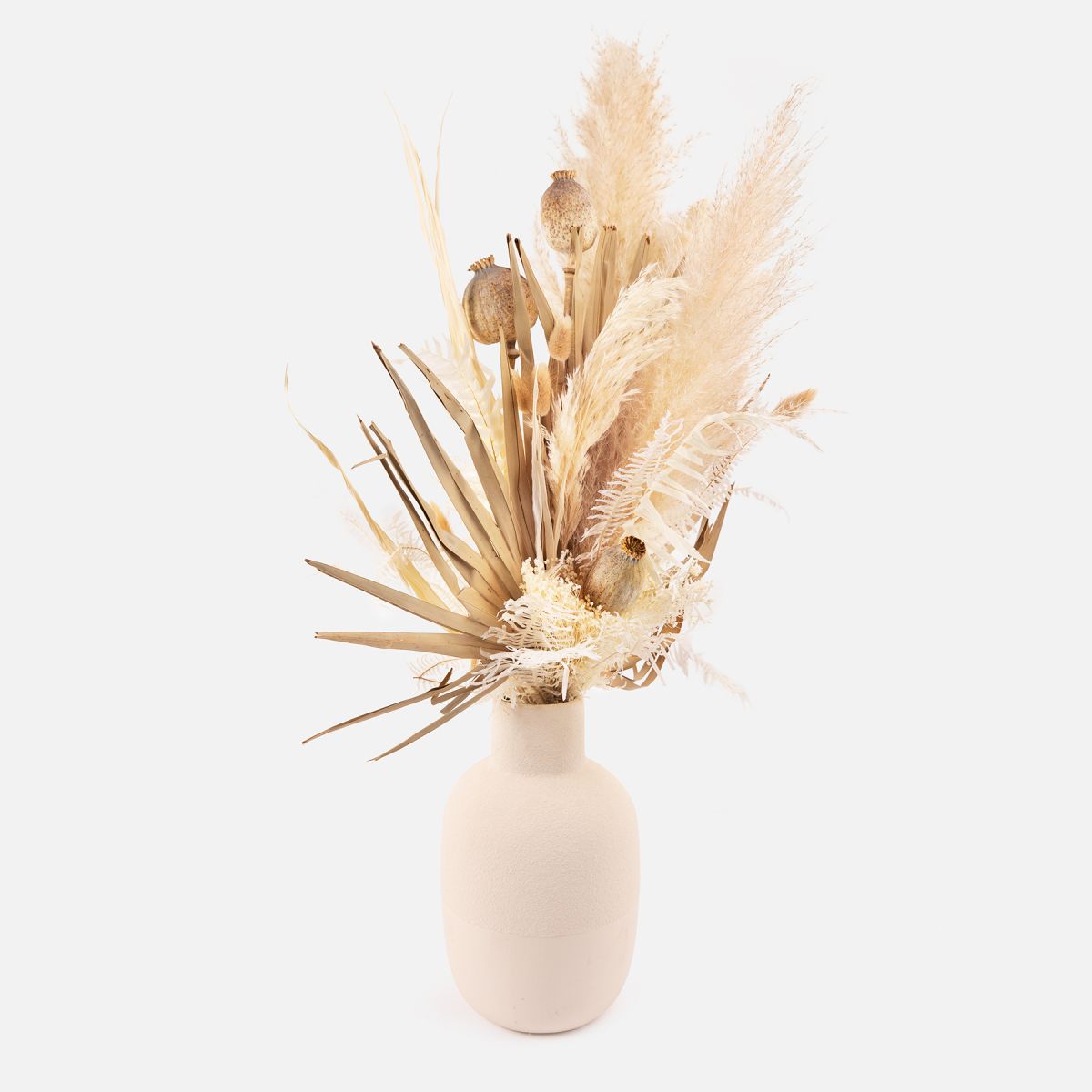 Sahara - Pampas e Papaver - Fiori a domicilio - Colvin