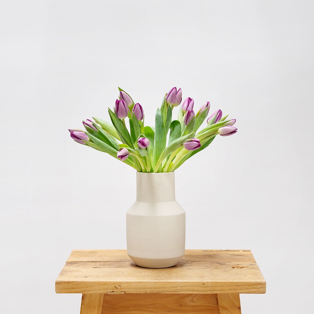 Tulipanes morados holandeses