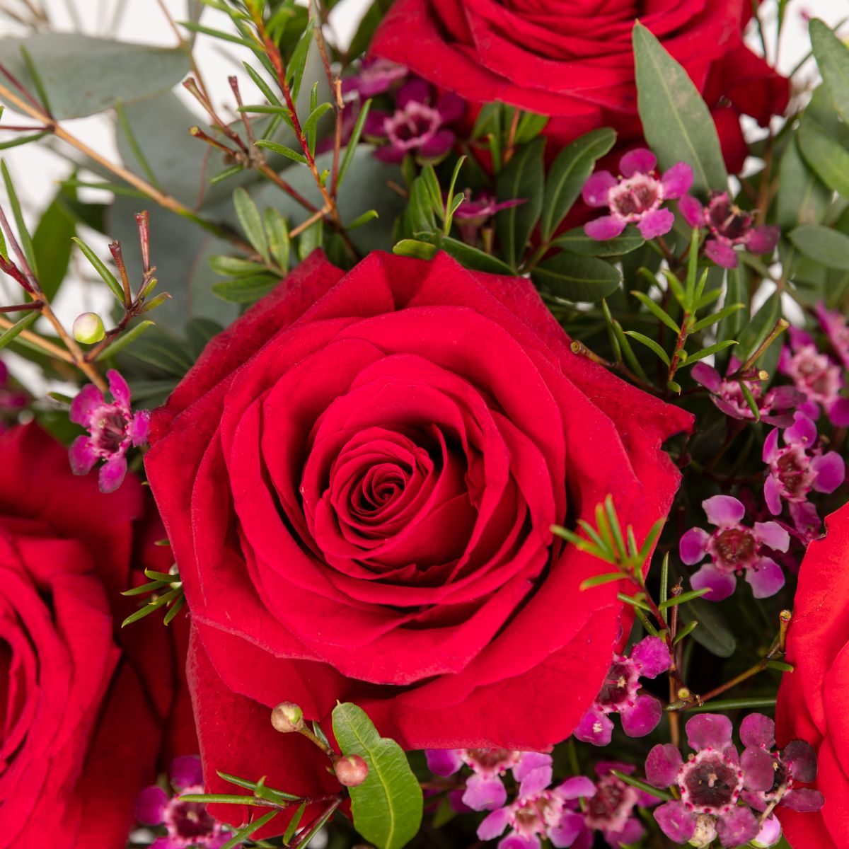 Enviar ramo de flores de rosas rojas para San Valentín