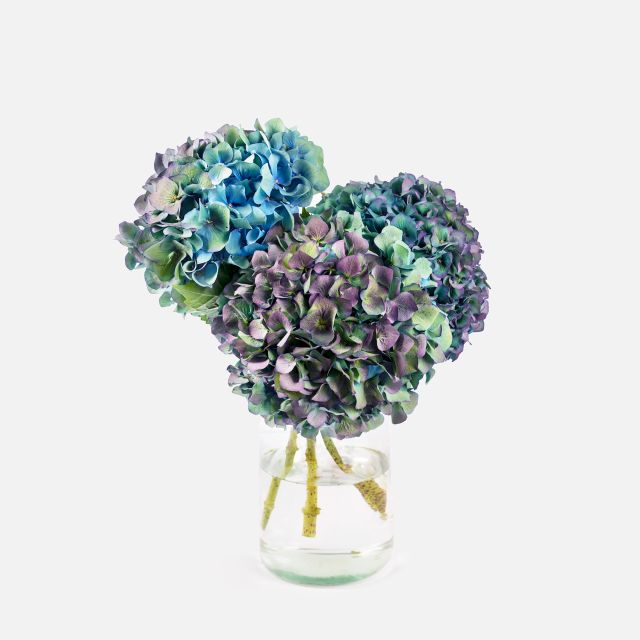 Bluestone - Bouquet di Ortensie Azzurre - Fiori a domicilio - Colvin