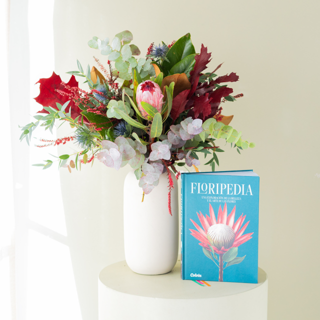Pack Floripedia: Ramo con Protea y Libro Floripedia