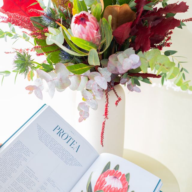 Pack Floripedia: Ramo con Protea y Libro Floripedia