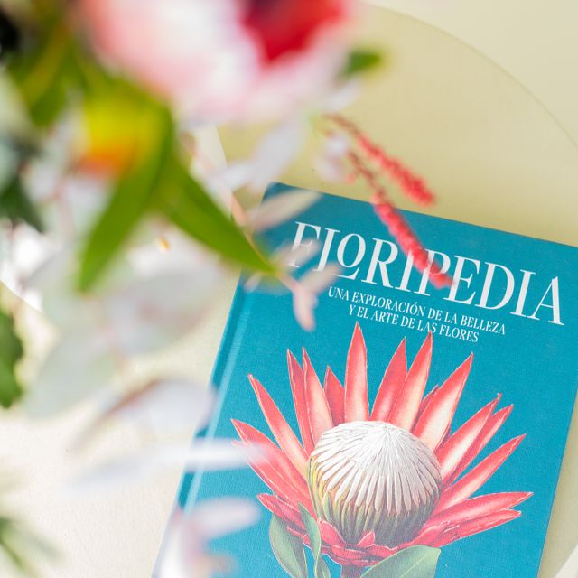 Pack Floripedia: Ramo con Protea y Libro Floripedia
