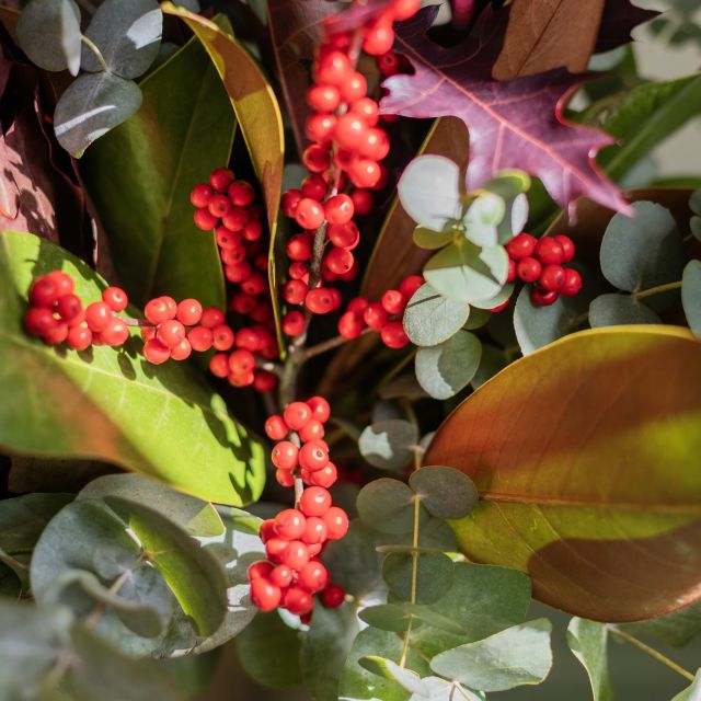 Pack Navidad: Jungle Bells con Vela y Tarjeta 