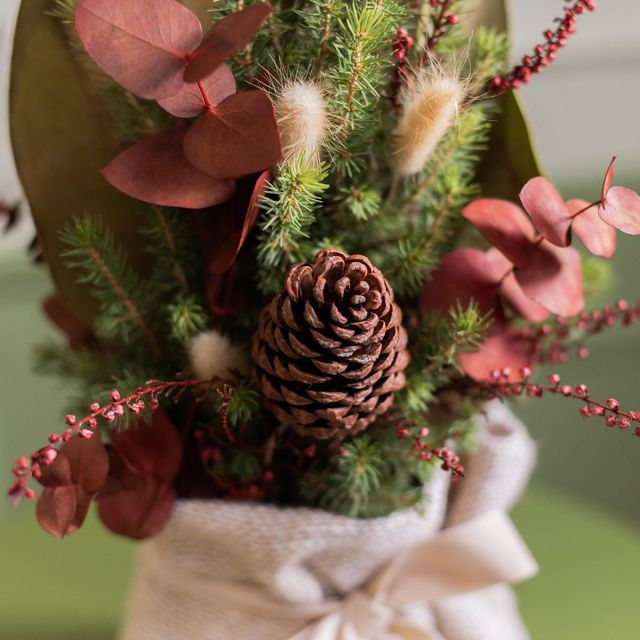 Pack Navidad: Mini Abeto con Mini Panettone y Tarjeta