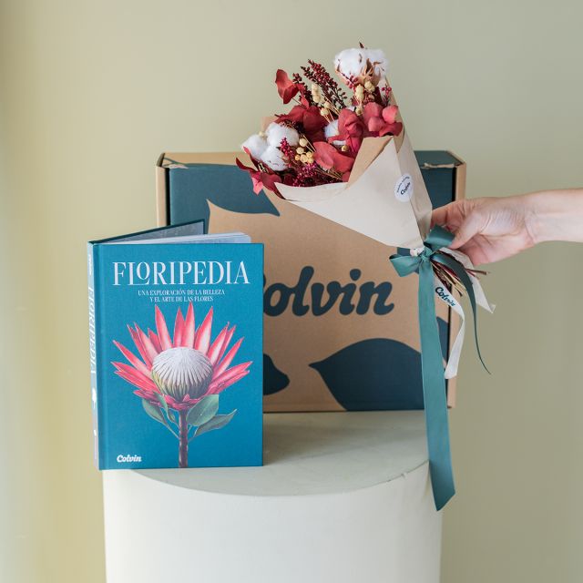 Pack Navidad: Mini Ramo y Floripedia