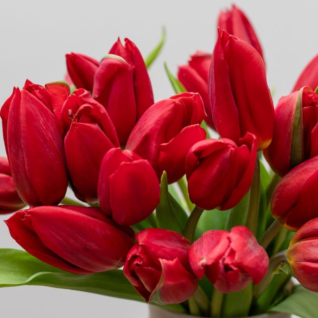 Pack Ramo Amelie con chocolate y dedicatoria